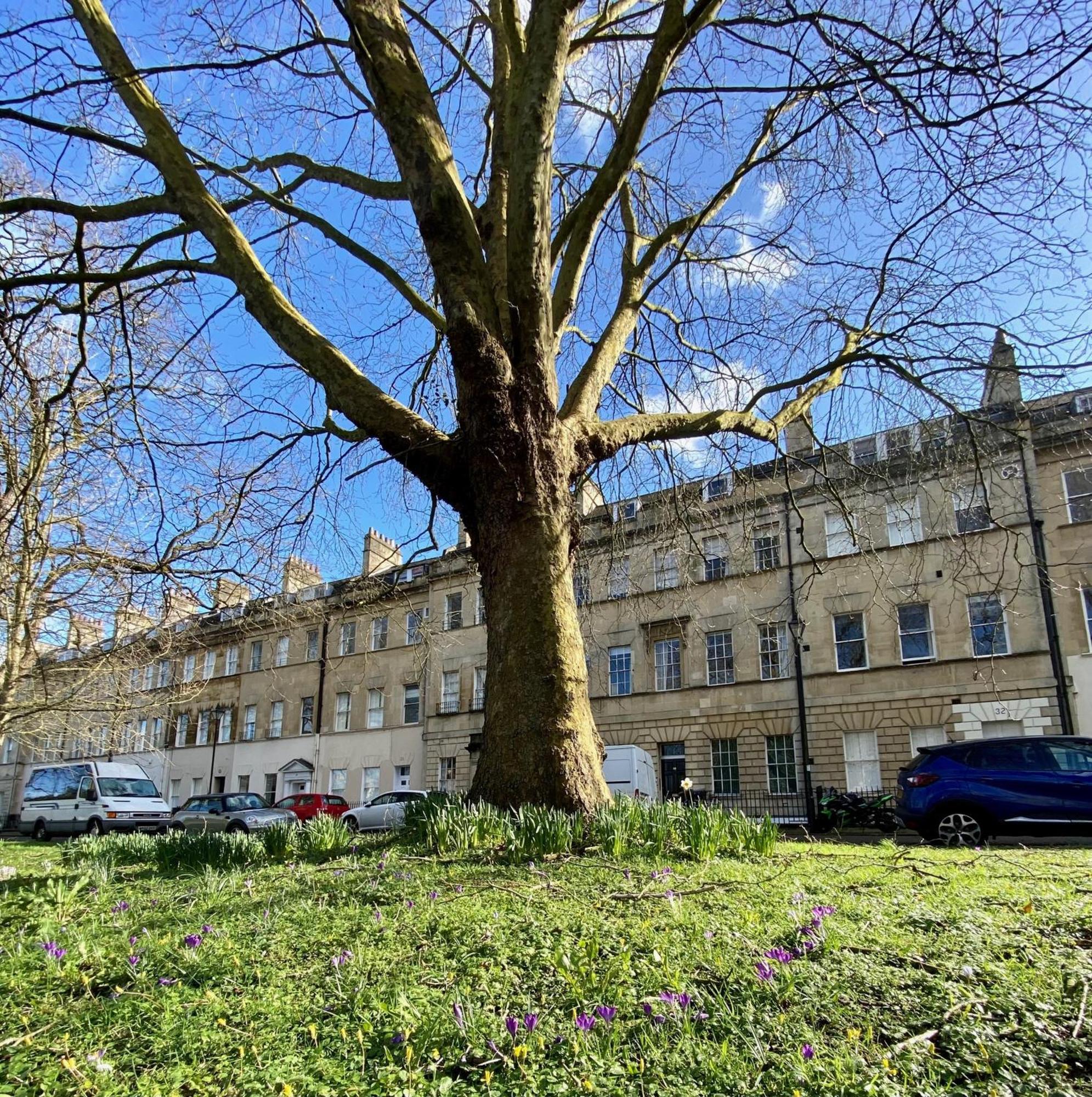 Grosvenor Apartments In Bath - Great For Families, Groups, Couples, 80 Sq M, Parking Exteriör bild